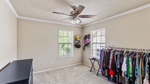 Houston 2-story, 4-bed 3907 Cinnamon Fern Court-idx