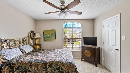 Houston 2-story, 4-bed 3907 Cinnamon Fern Court-idx