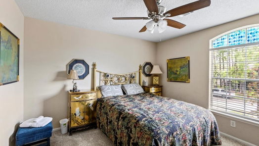 Houston 2-story, 4-bed 3907 Cinnamon Fern Court-idx