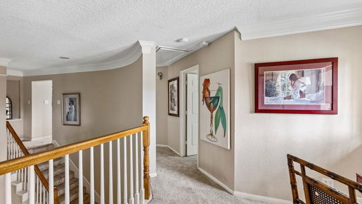 Houston 2-story, 4-bed 3907 Cinnamon Fern Court-idx