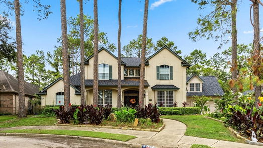 Houston 2-story, 4-bed 3907 Cinnamon Fern Court-idx