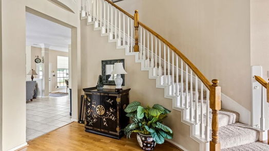 Houston 2-story, 4-bed 3907 Cinnamon Fern Court-idx