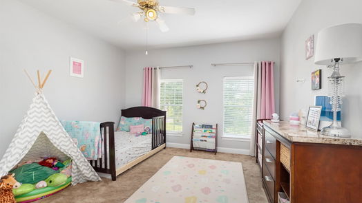 Houston 2-story, 5-bed 4607 Olive Green Court-idx