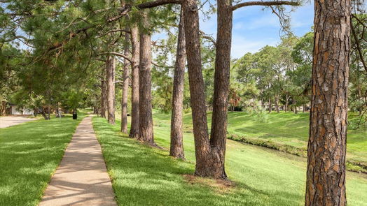 Houston 1-story, 4-bed 16006 Stonehaven Drive-idx