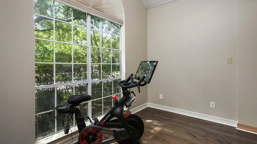 Houston null-story, 4-bed 4110 Pine Blossom Trail-idx
