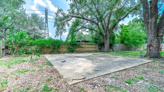 Houston 1-story, 4-bed 7250 Brace Street-idx