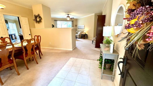 Houston 1-story, 3-bed 14103 Ivy Bluff Court-idx