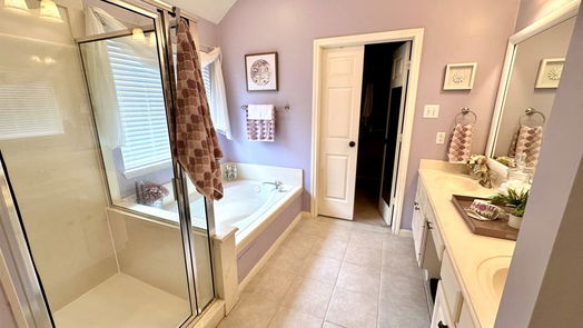 Houston 1-story, 3-bed 14103 Ivy Bluff Court-idx