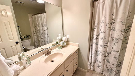 Houston 1-story, 3-bed 14103 Ivy Bluff Court-idx