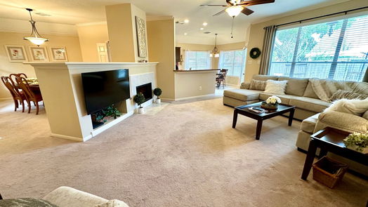 Houston 1-story, 3-bed 14103 Ivy Bluff Court-idx