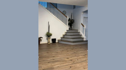 Houston 2-story, 4-bed 14423 Shannon Ridge Road-idx