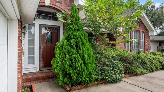 Houston 1-story, 3-bed 803 Knotty Elmwood Trail-idx