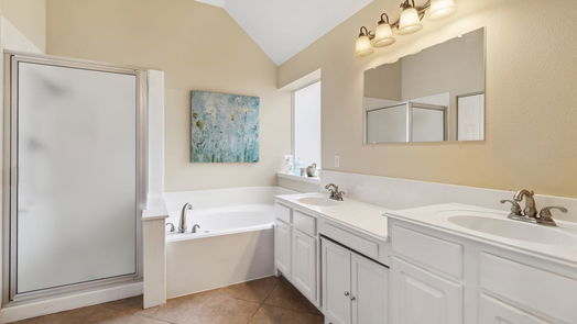 Houston null-story, 3-bed 14111 Boulder Falls Court-idx