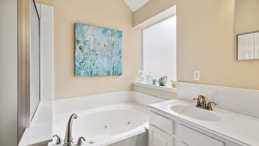 Houston null-story, 3-bed 14111 Boulder Falls Court-idx