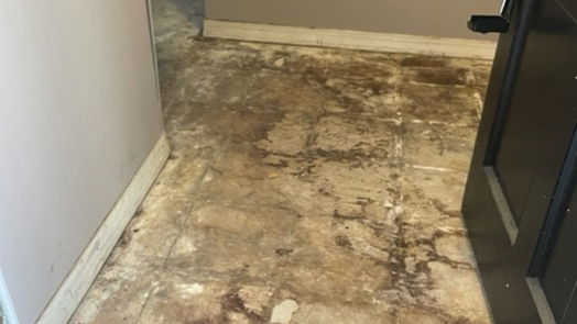 Houston 1-story, 1-bed 7900 Westheimer Road 233-idx