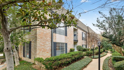 Houston 1-story, 1-bed 1809 Stoney Brook Drive 101-idx