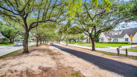 Houston 1-story, 4-bed 7723 Highmeadow Drive-idx