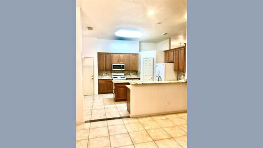 Houston 1-story, 3-bed 9603 Summer Run Drive-idx