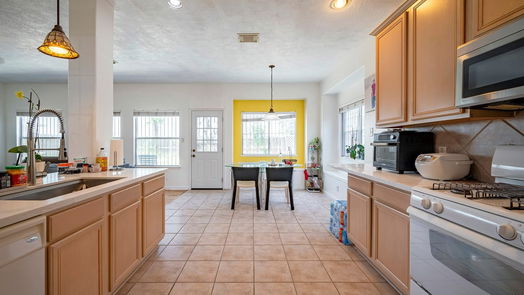 Houston 2-story, 5-bed 8902 Heron Nest Drive-idx