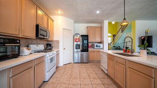 Houston 2-story, 5-bed 8902 Heron Nest Drive-idx