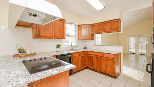 Houston 1-story, 3-bed 10583 Twilight Moon Drive-idx