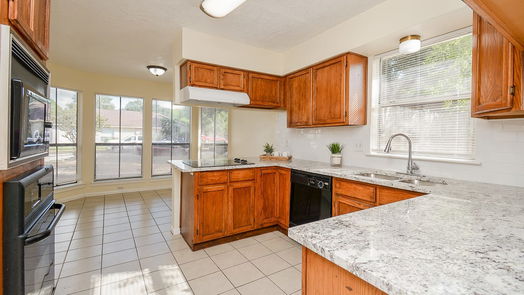 Houston 1-story, 3-bed 10583 Twilight Moon Drive-idx