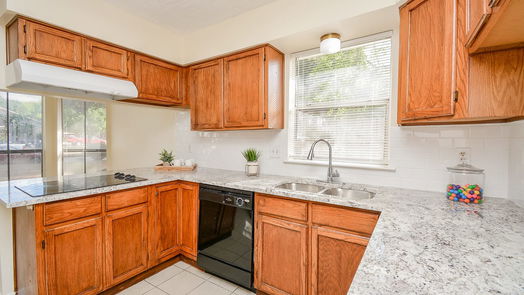 Houston 1-story, 3-bed 10583 Twilight Moon Drive-idx