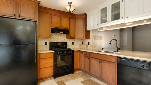 Houston 1-story, 3-bed 9210 Golden Meadow Drive-idx