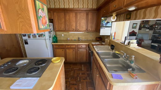 Houston 1-story, 3-bed 11723 Ridge Run Drive-idx