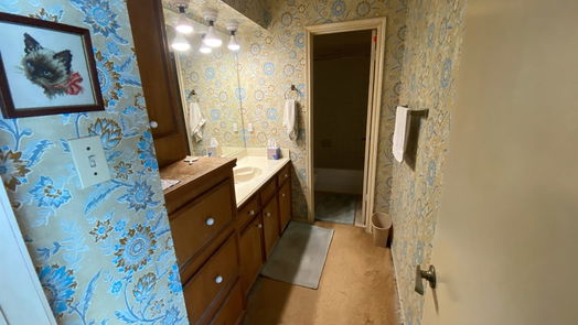 Houston 1-story, 3-bed 11723 Ridge Run Drive-idx