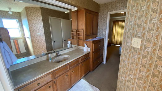 Houston 1-story, 3-bed 11723 Ridge Run Drive-idx