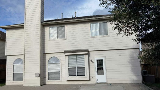 Houston 2-story, 4-bed 11019 Heron Nest Street-idx