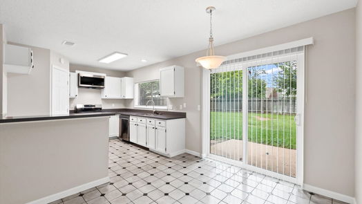 Houston 1-story, 3-bed 10506 Saddlehorn Trail-idx