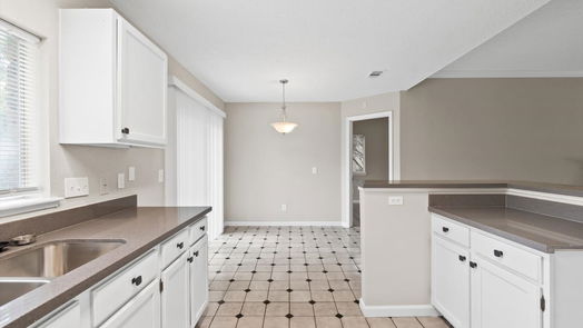 Houston 1-story, 3-bed 10506 Saddlehorn Trail-idx