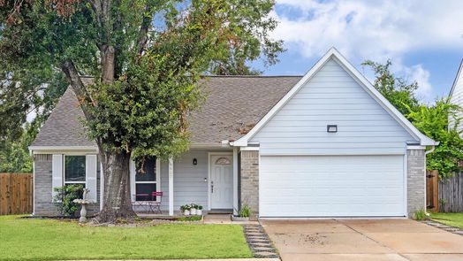 Houston 1-story, 2-bed 9907 Burntfork Drive-idx