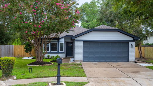 Houston 1-story, 4-bed 10514 LADYBUG Drive-idx