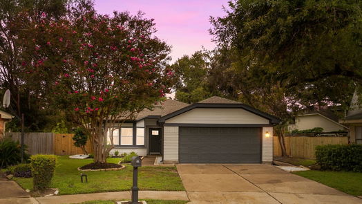 Houston 1-story, 4-bed 10514 LADYBUG Drive-idx