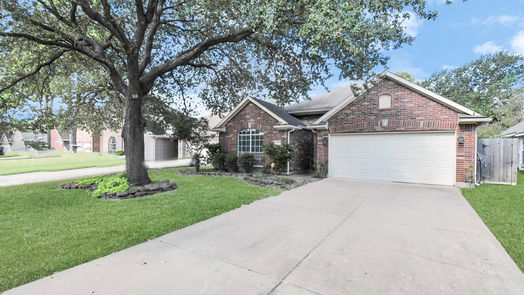 Houston 1-story, 4-bed 10011 Autumn Way Drive-idx