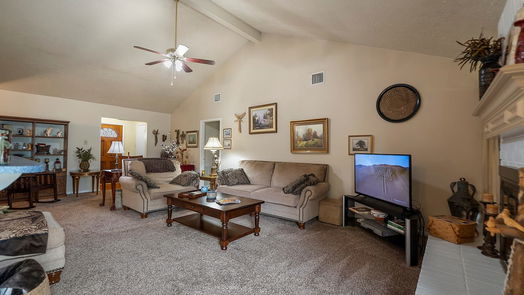 Houston 1-story, 3-bed 10202 Rippling Fields Drive-idx