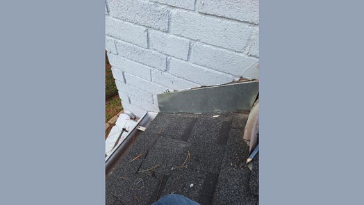 Houston null-story, 6-bed 10102 Rippling Fields Drive-idx