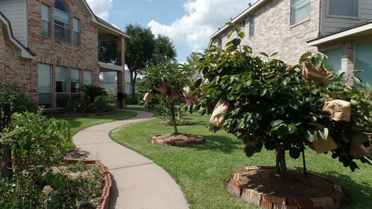 Houston 2-story, 4-bed 10318 Sand Dollar Drive-idx