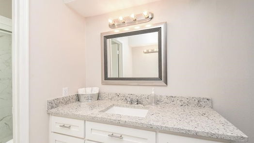 Houston 1-story, 4-bed 13615 Pepper Knoll Drive-idx