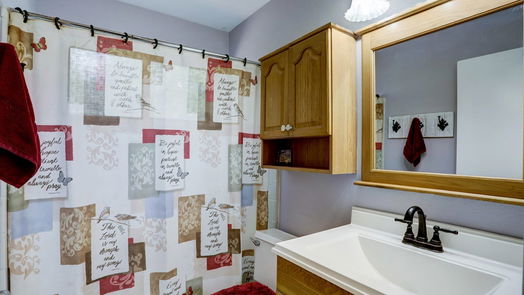 Houston 1-story, 3-bed 9707 Overmead Drive-idx