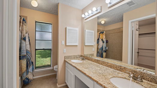 Houston 1-story, 3-bed 13522 Pecan Oak Drive-idx