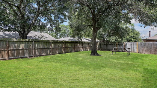 Houston 1-story, 3-bed 13522 Pecan Oak Drive-idx
