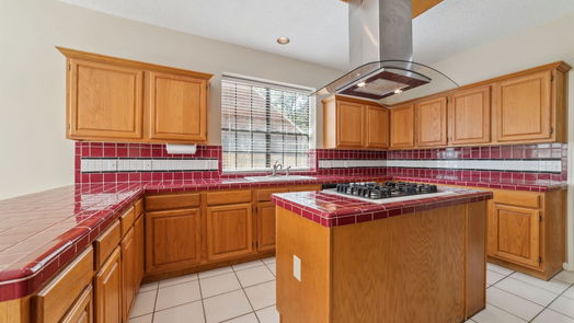 Houston null-story, 3-bed 12918 Orchard Hollow Way-idx