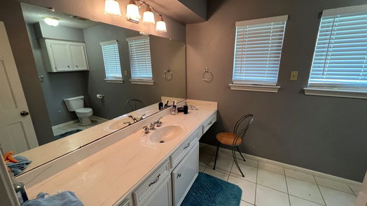 Houston 2-story, 4-bed 5410 Spanish Oak Drive-idx