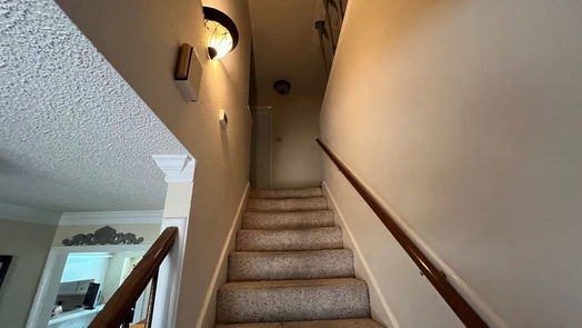 Houston 2-story, 4-bed 5410 Spanish Oak Drive-idx