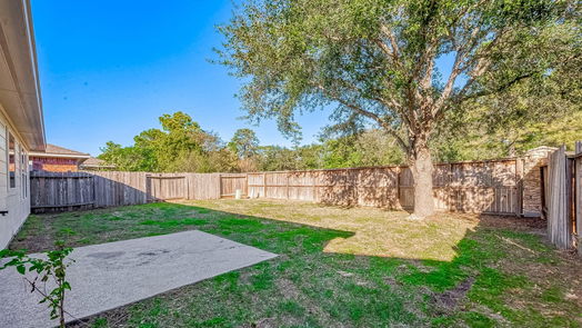 Houston null-story, 3-bed 11618 Champions Walk Lane-idx