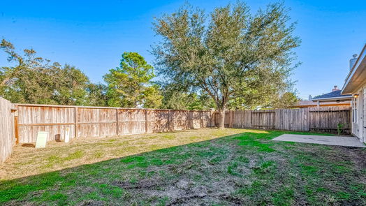 Houston null-story, 3-bed 11618 Champions Walk Lane-idx